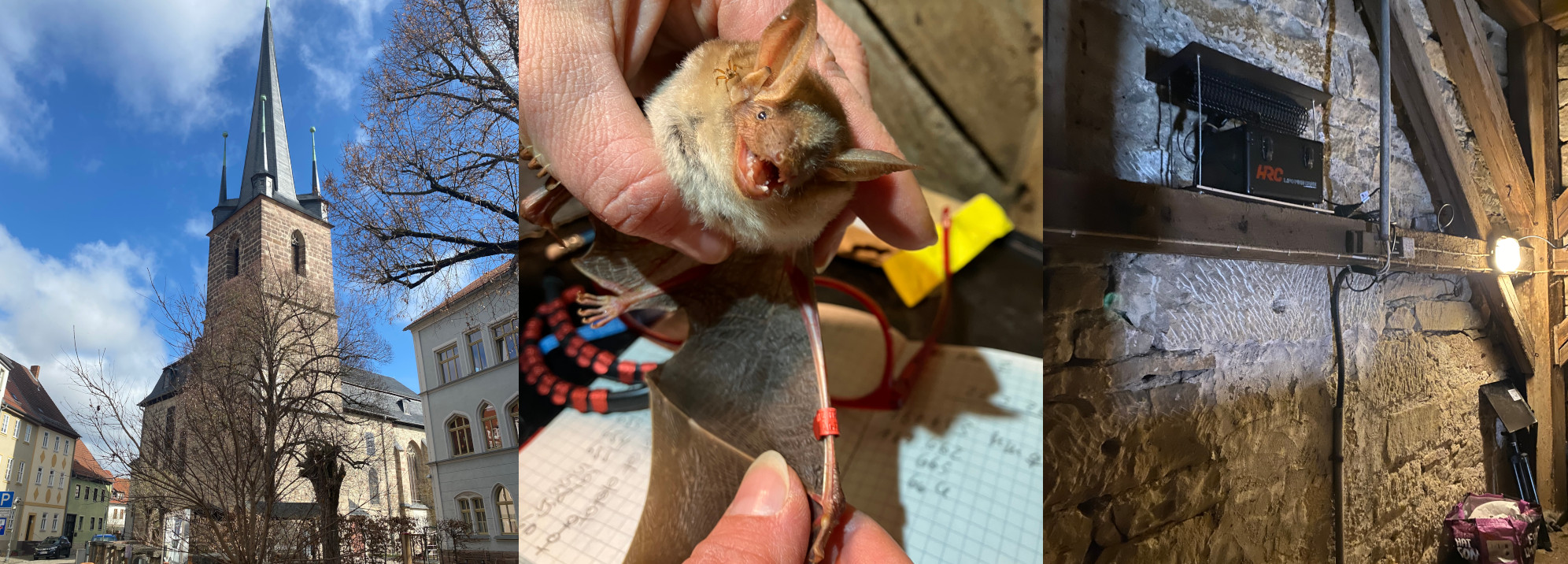 BatMic Kahla, by Kerstin Ergenzinger, Udo Noll